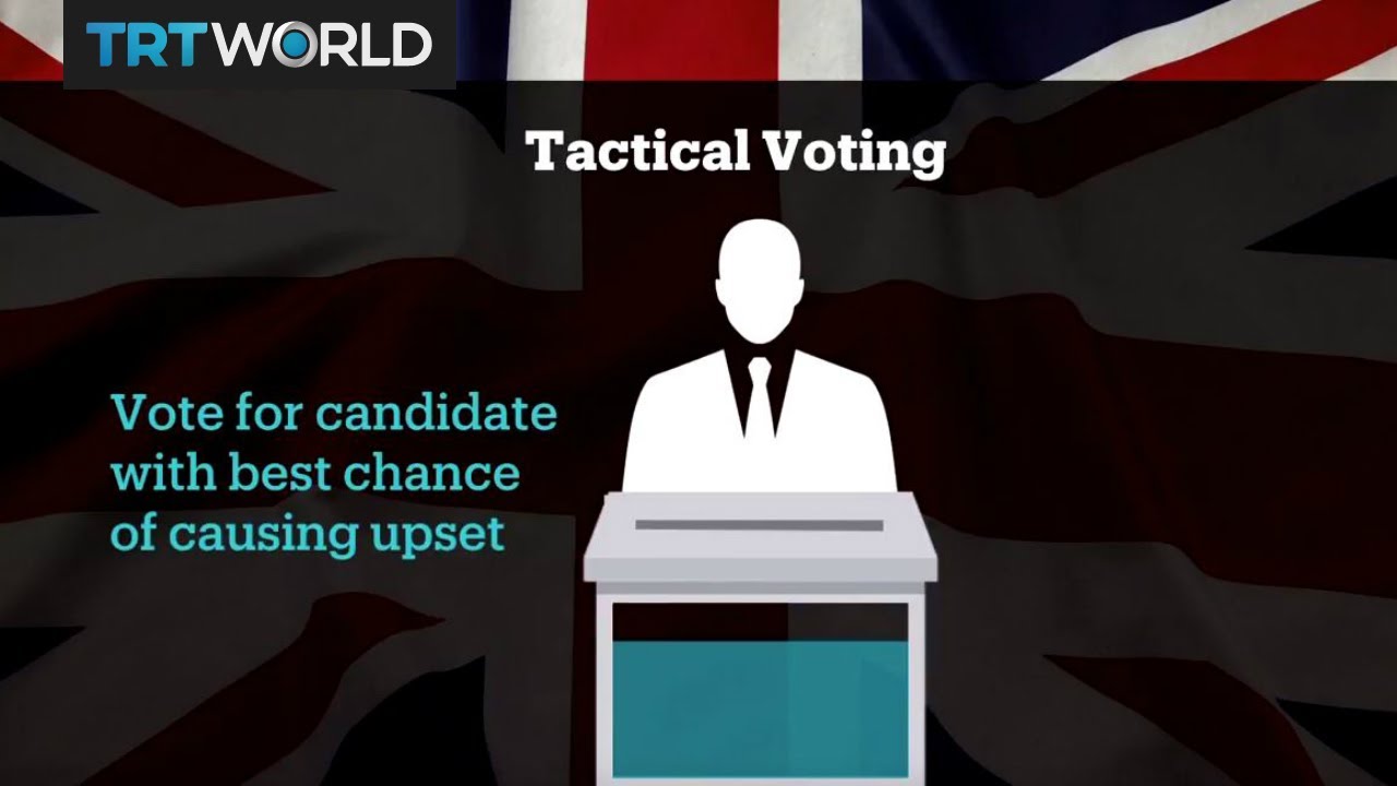 Pro-EU voters may opt for 'tactical voting' in UK election