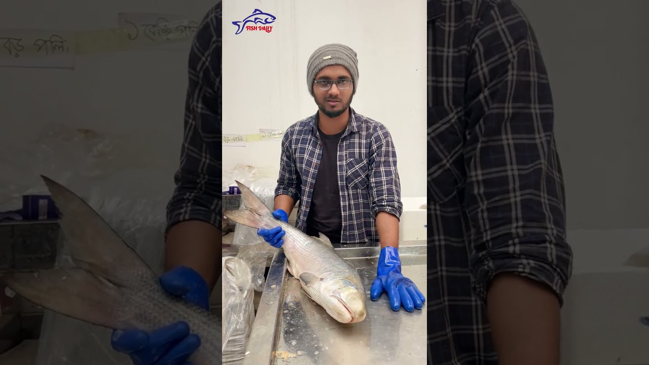 Attached 2parcel with in Fish Vally