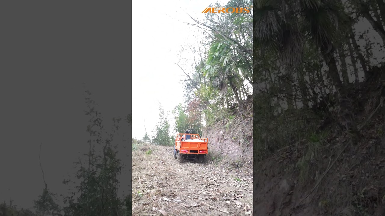 ATV CARGO 300CC 2X2 4X4 farm atv 2024 #farmvehicle #wholesale