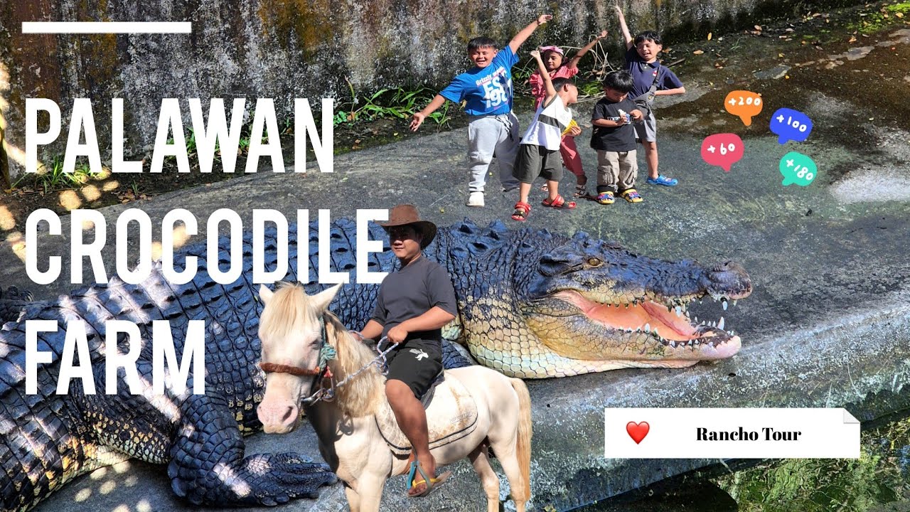 Palawan Crocodile Farm and Rancho Tour | Vacation