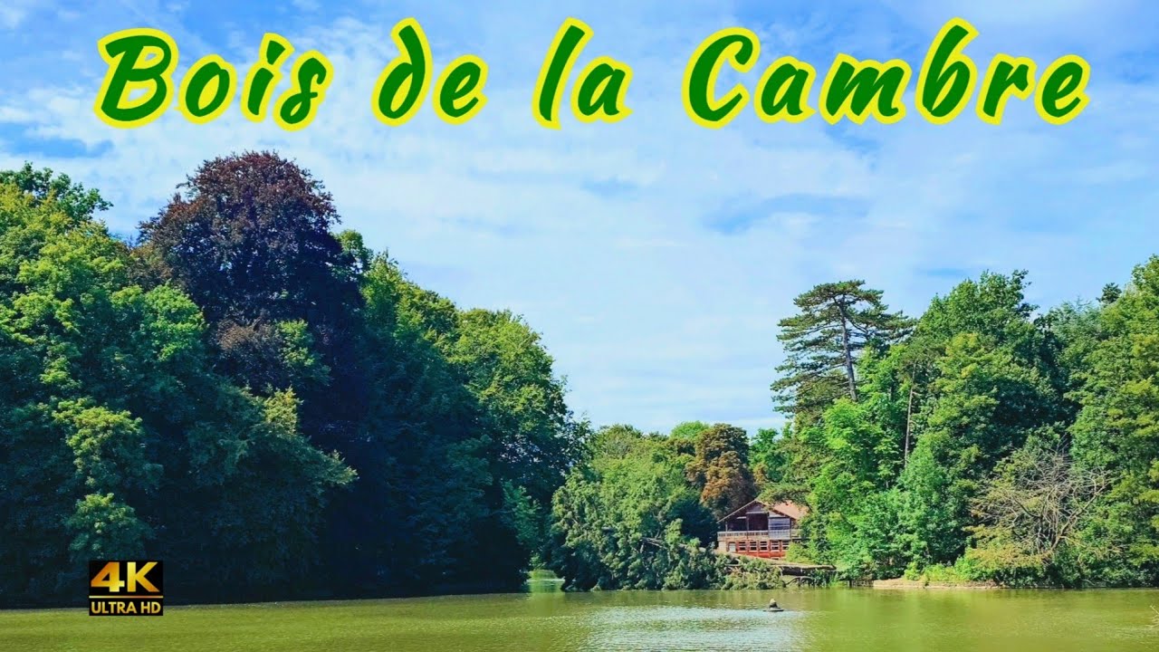 Ter Kamerenbos 🇧🇪 Escape from the daily stress with ,,Bois de la Cambre