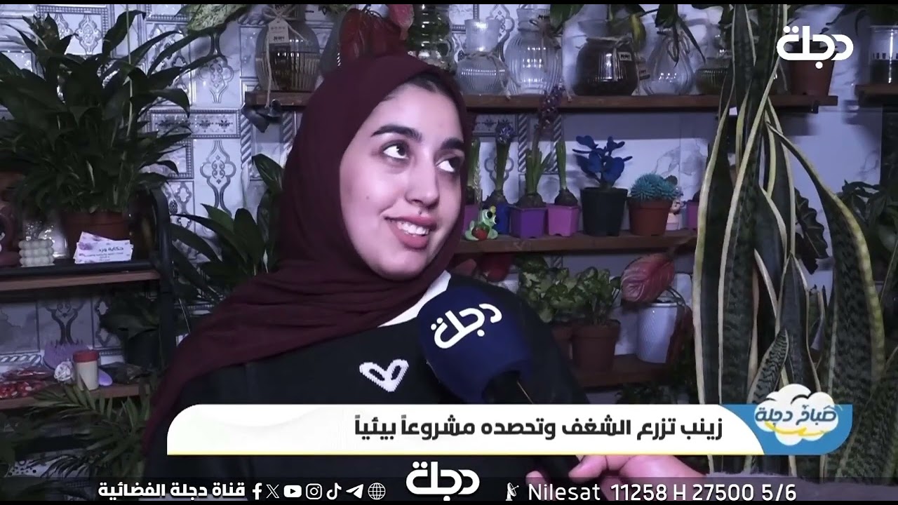 من شغف بسيط بالنباتات الظلية إلى مشروع جديد تقرير سيف الجنابي قناة دجلة الفضائية 