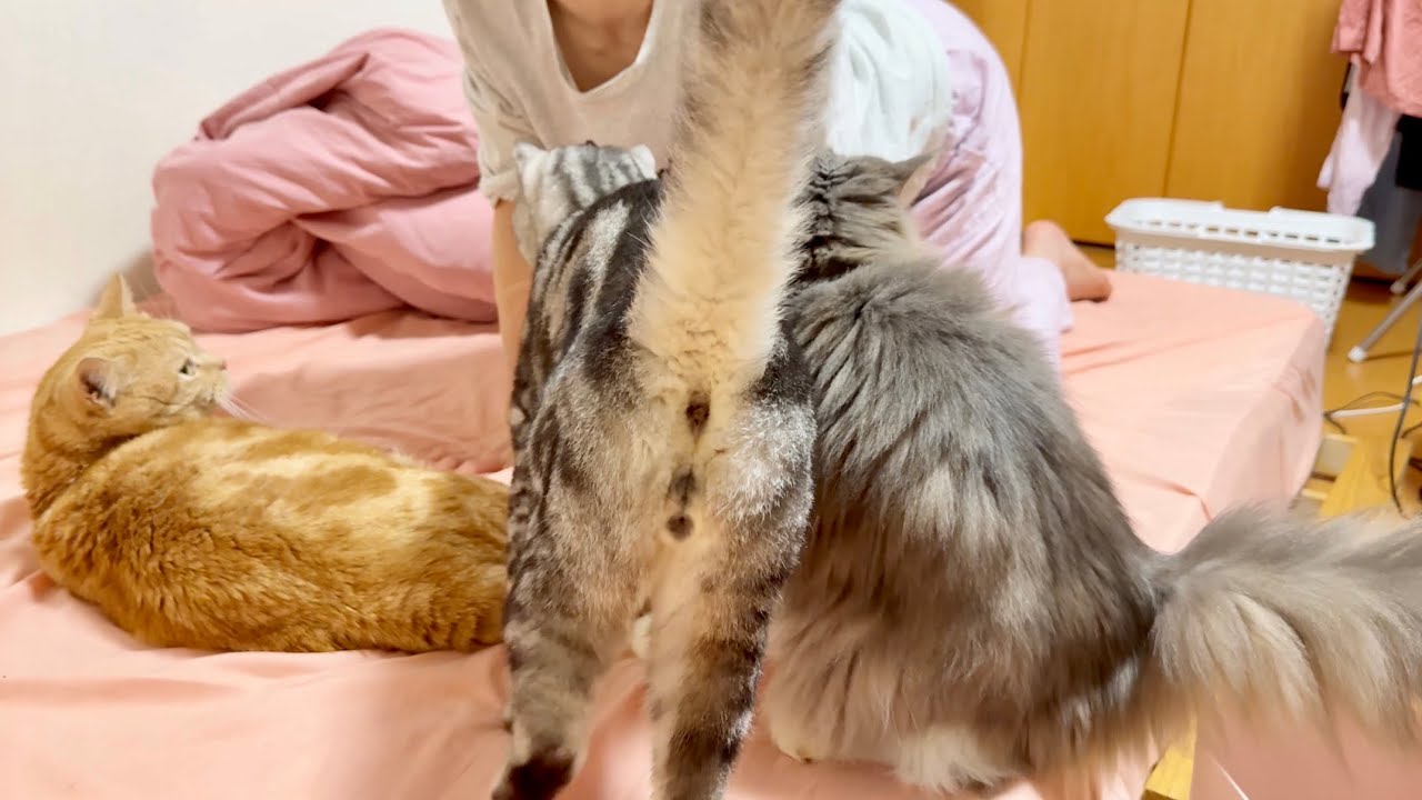 体操してたらみんなが集まってきました💓