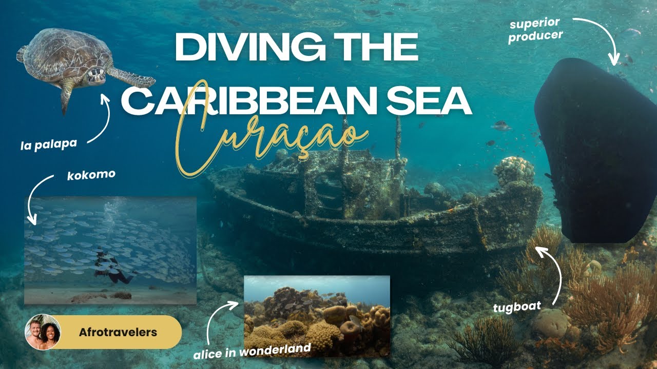 Diving The Caribbean Sea | Curacao