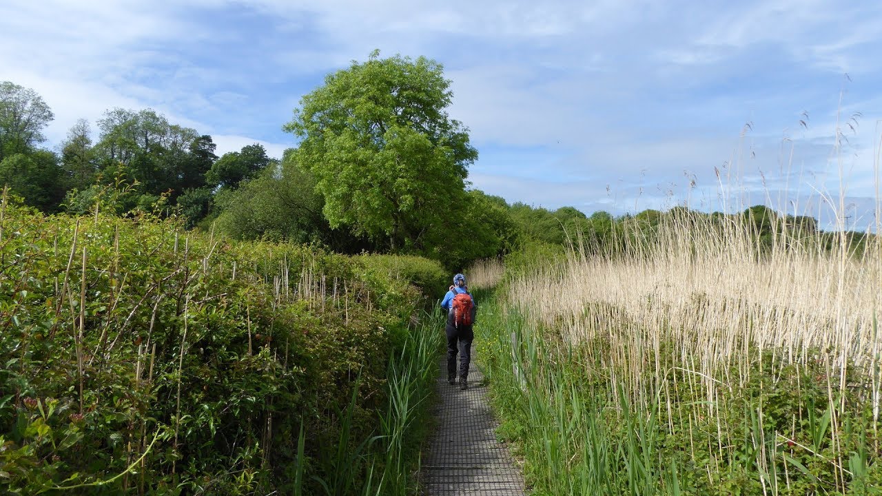 Teifi Marshes Cardigan Walks, Ceredigion Walks In Wales, UK
