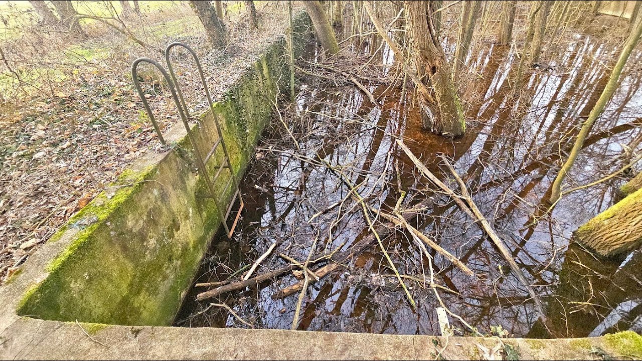 Lost Places - Das alte Waldschwimmbad