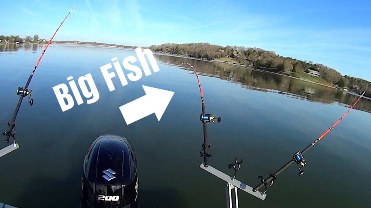 These Fish Went DEUCES WILD On Us!!!