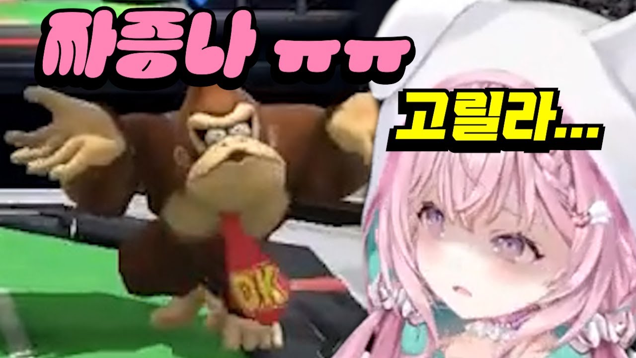 뉴비 양학은 고릴라【홀로라이브-코요리】