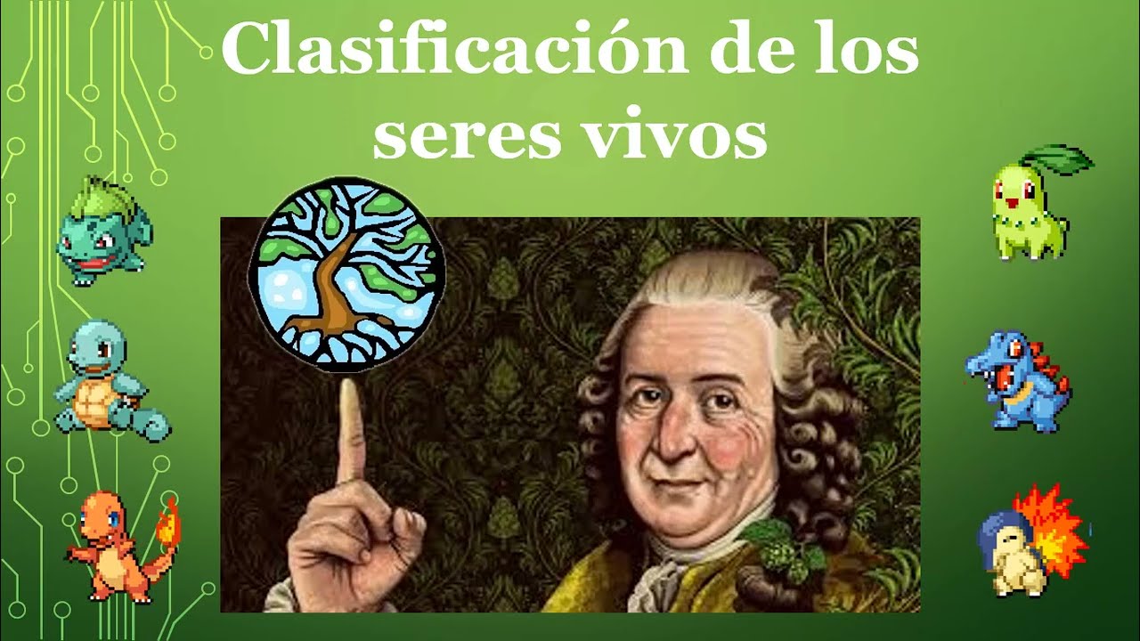 Clasificación taxonómica del ser humano