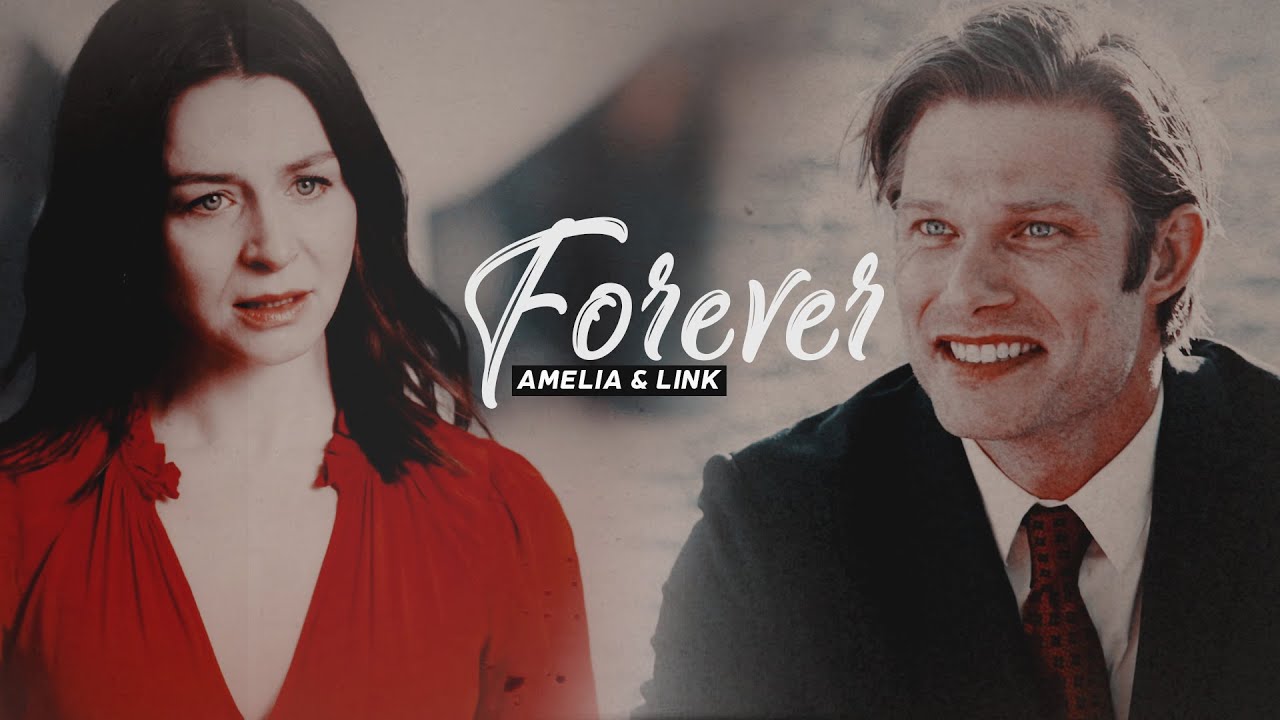 amelia & link | forever [17X17]