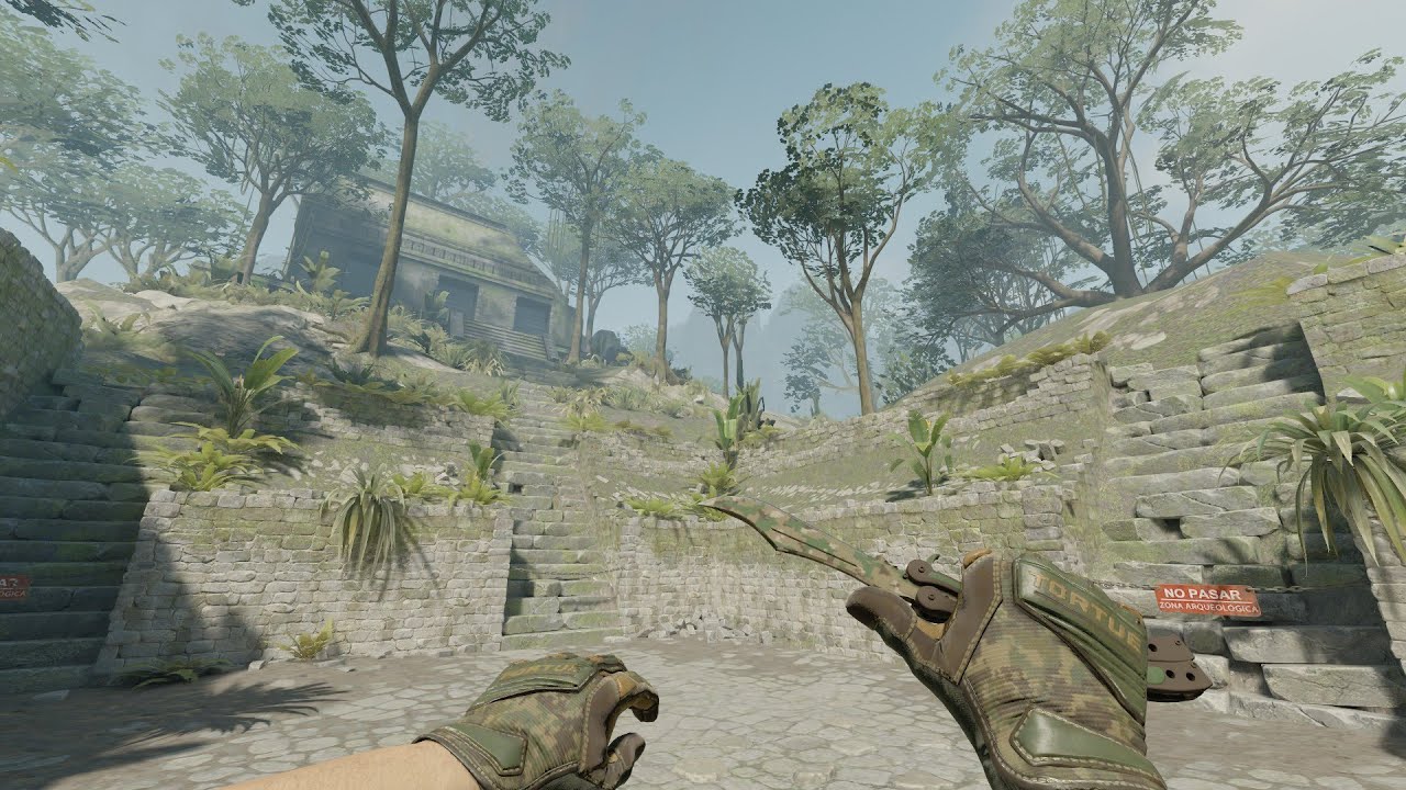 Butterfly Knife | Forest DDPAT and Specialist Gloves | Forest DDPAT