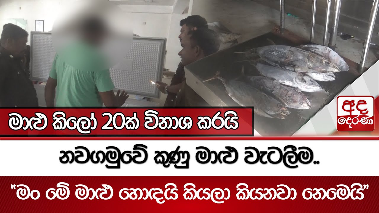 නවගමුවේ කුණු මාළු වැටලීම.. - 
