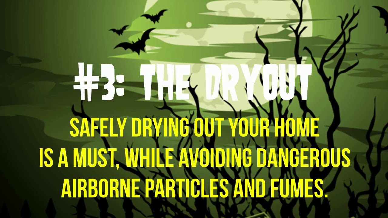 Chicago &ndash; Sewage Cleanup Dangers - The CleanUP Guys