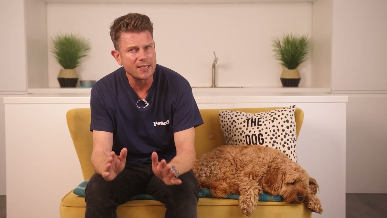 Pets Best Review
