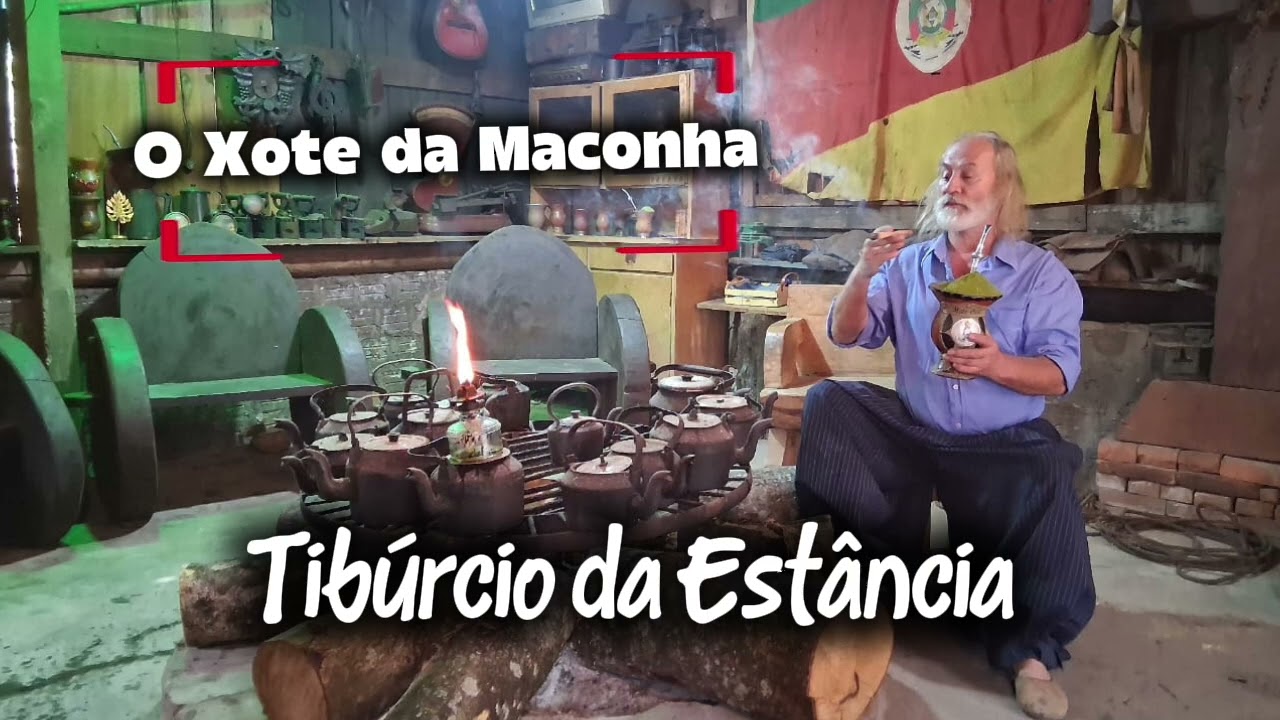 M&uacute;sica 