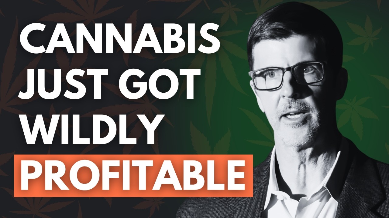 Investors Are Flooding Back Into Cannabis | Cannabis Industry Updates