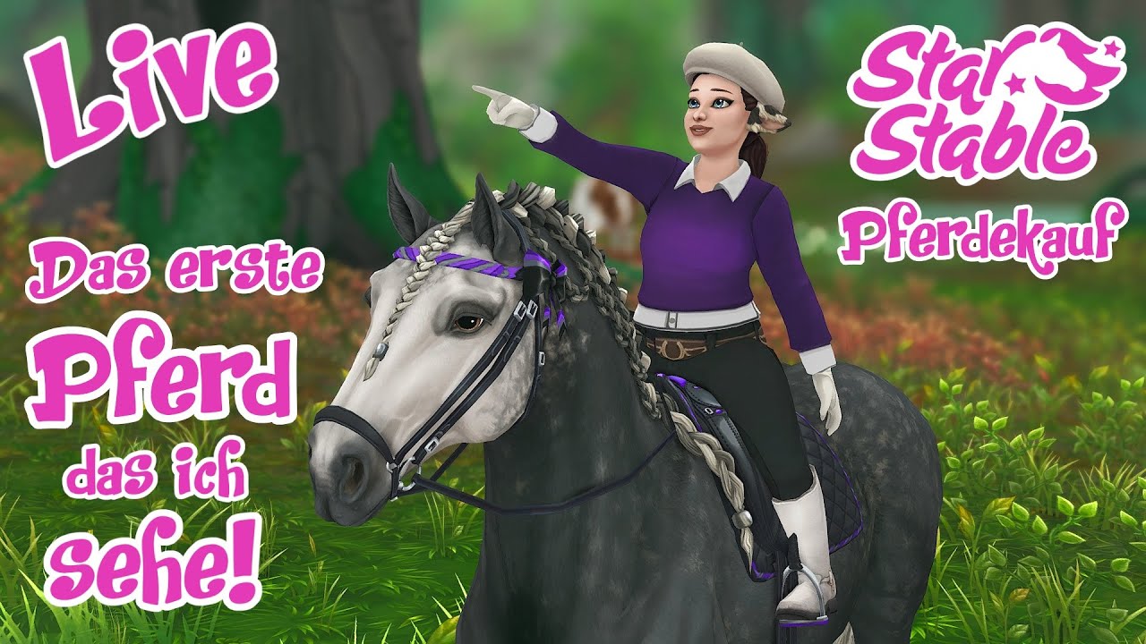 Star Stable [SSO] LIVE Pferdekauf - Das erste Pferd das ich sehe! (Server 11 Icy Palace)