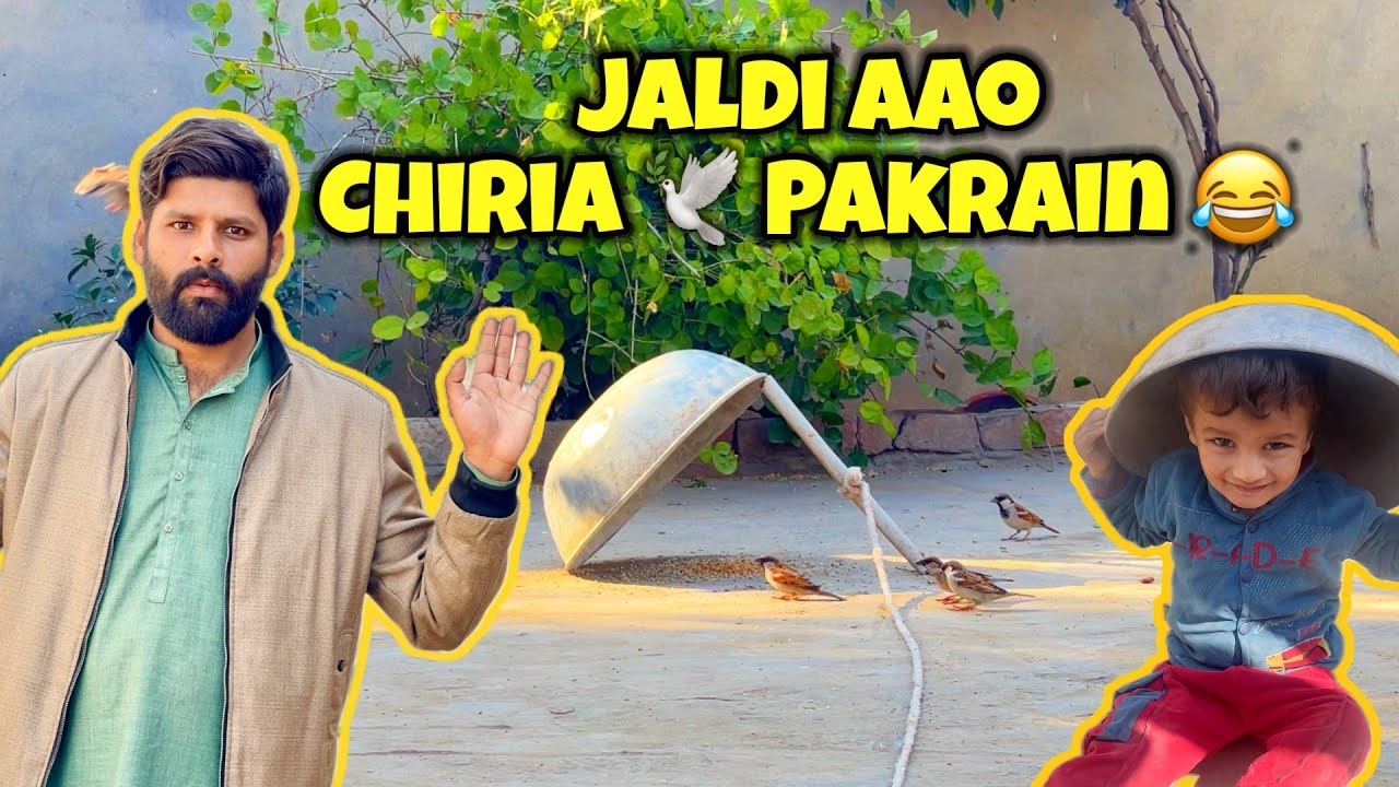 Ghalti Se Yeh Pakar Liya! 🤣Chiria Bhool Jao!