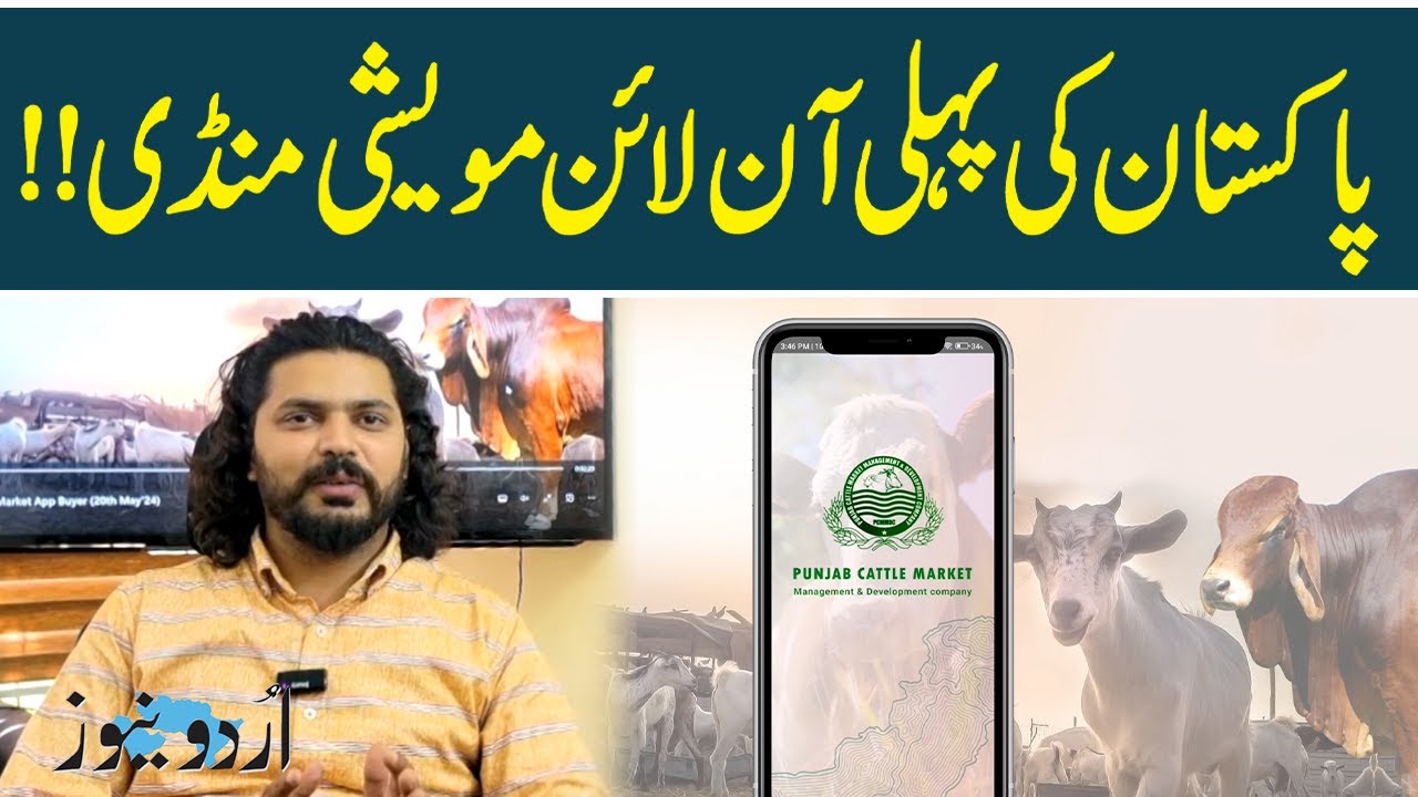 E-Cattle Market, Pakistan's first online livestock market