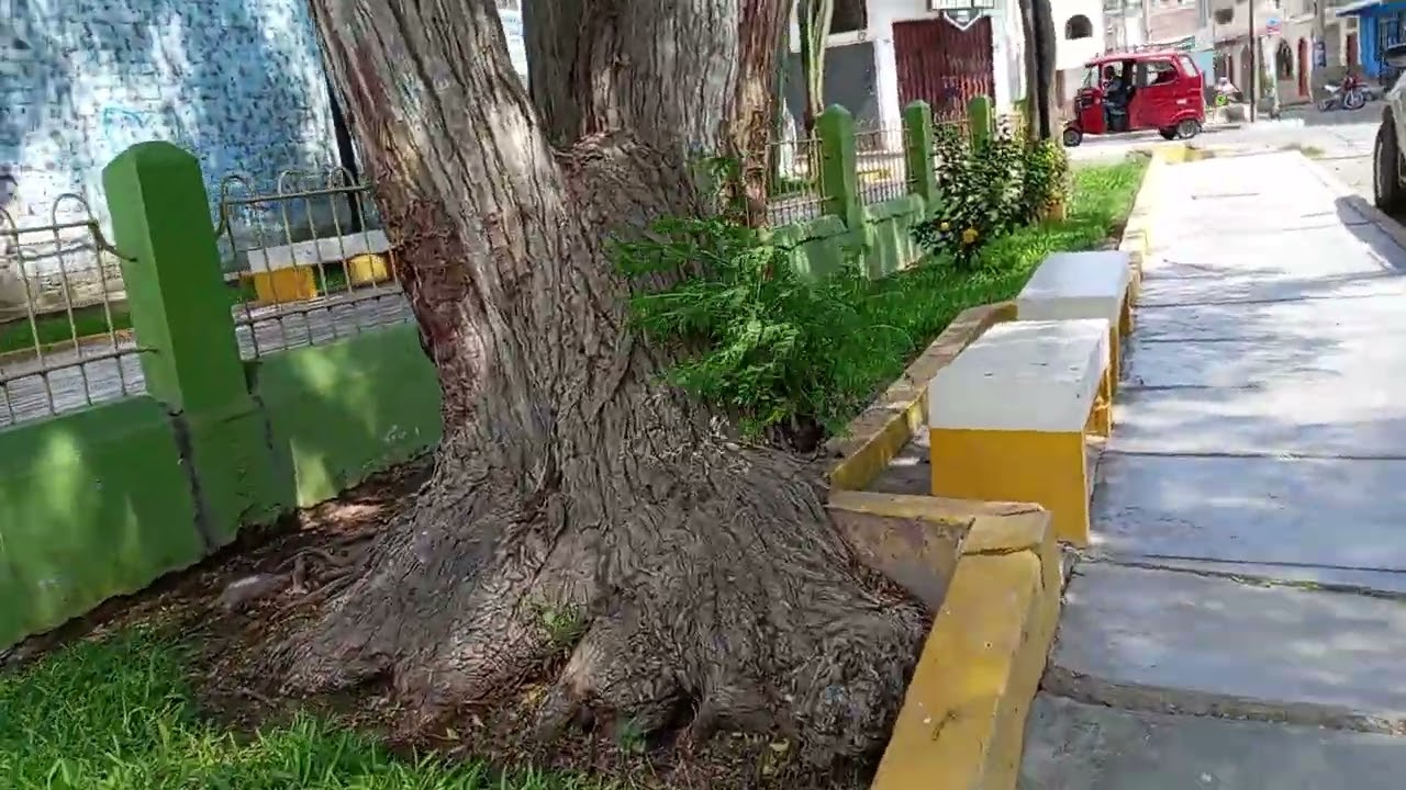 PARQUE PASEO DE LAS FLORES - CHEPEN