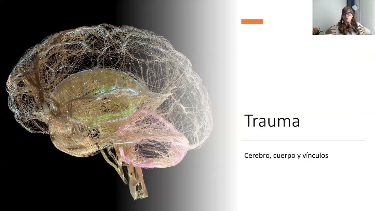El Cuidado Informado en Trauma y los Tratamientos del Trauma Psicológico.