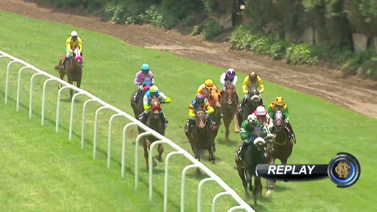 HALLUCINATE - Wins The - The Mountbatten Handicap - RACE 03