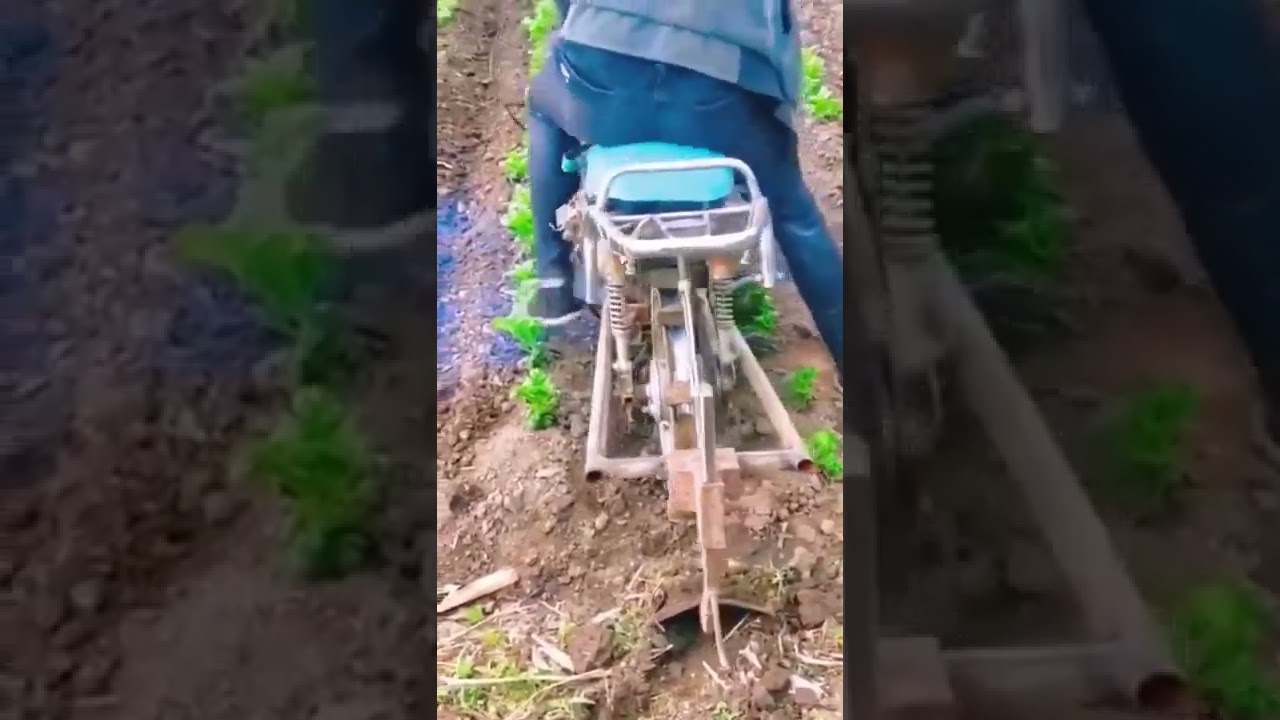 Motorsiklet ile tarla sürme karık açma
