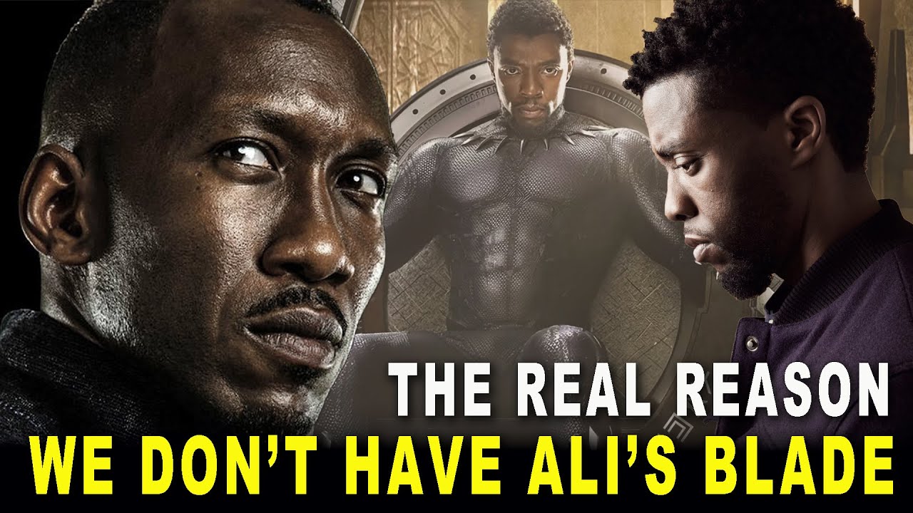 The Real Reason We Never Got Ali's Blade