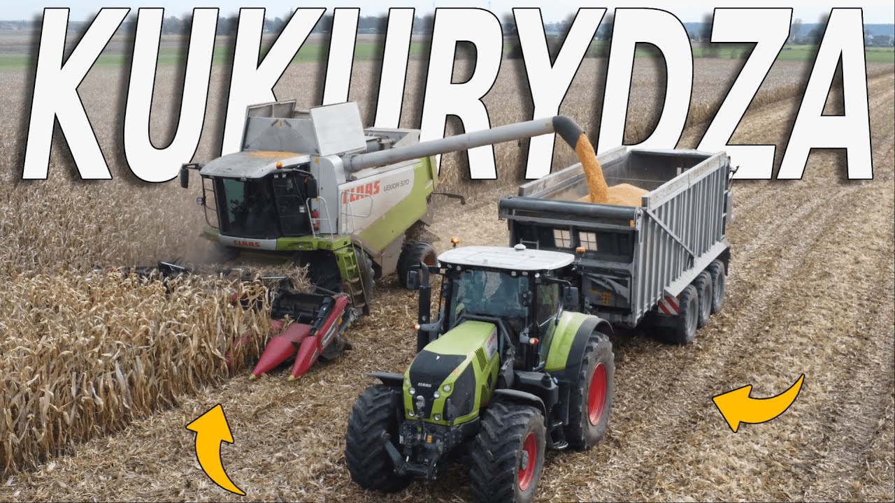 🇵🇱☆ Koszenie Kukurydzy 2024 w ZSCKR LUTUTÓW 🇵🇱☆ NewHolland i Claas w akcji! ☆ Poletka Pokazowe ☆