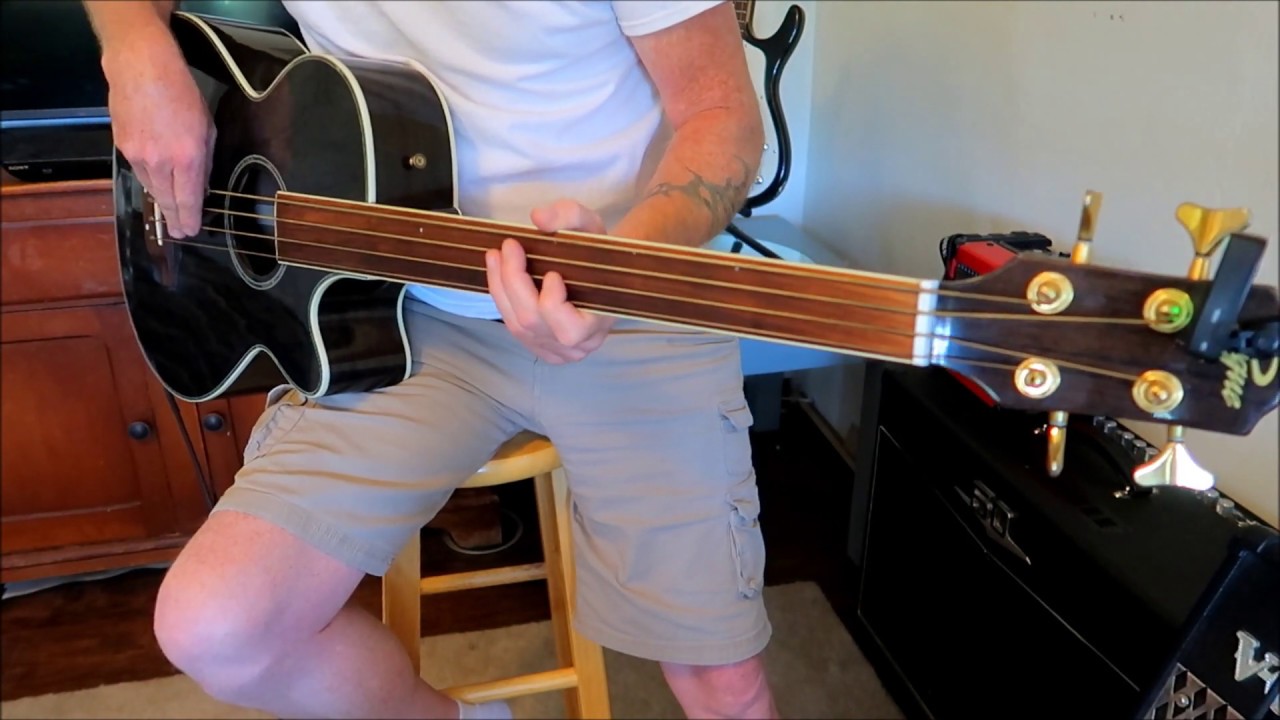 Rogue Acoustic Fretless Bass guitar