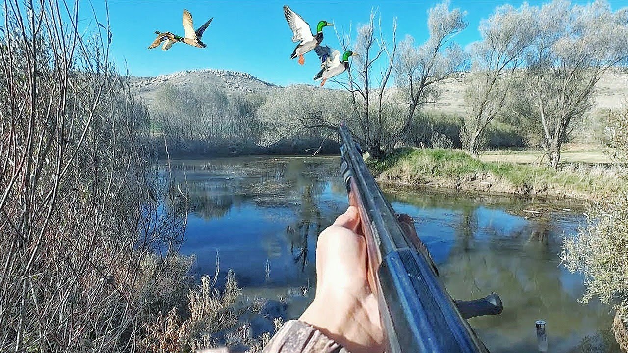 &Ouml;RDEK AVI 2024. AĞA&Ccedil;LARIN ARASINDAN YEŞİLLER KALKTI.. UZAK MESAFELİ NET ATIŞLAR.. DUCK HUNTİNG.