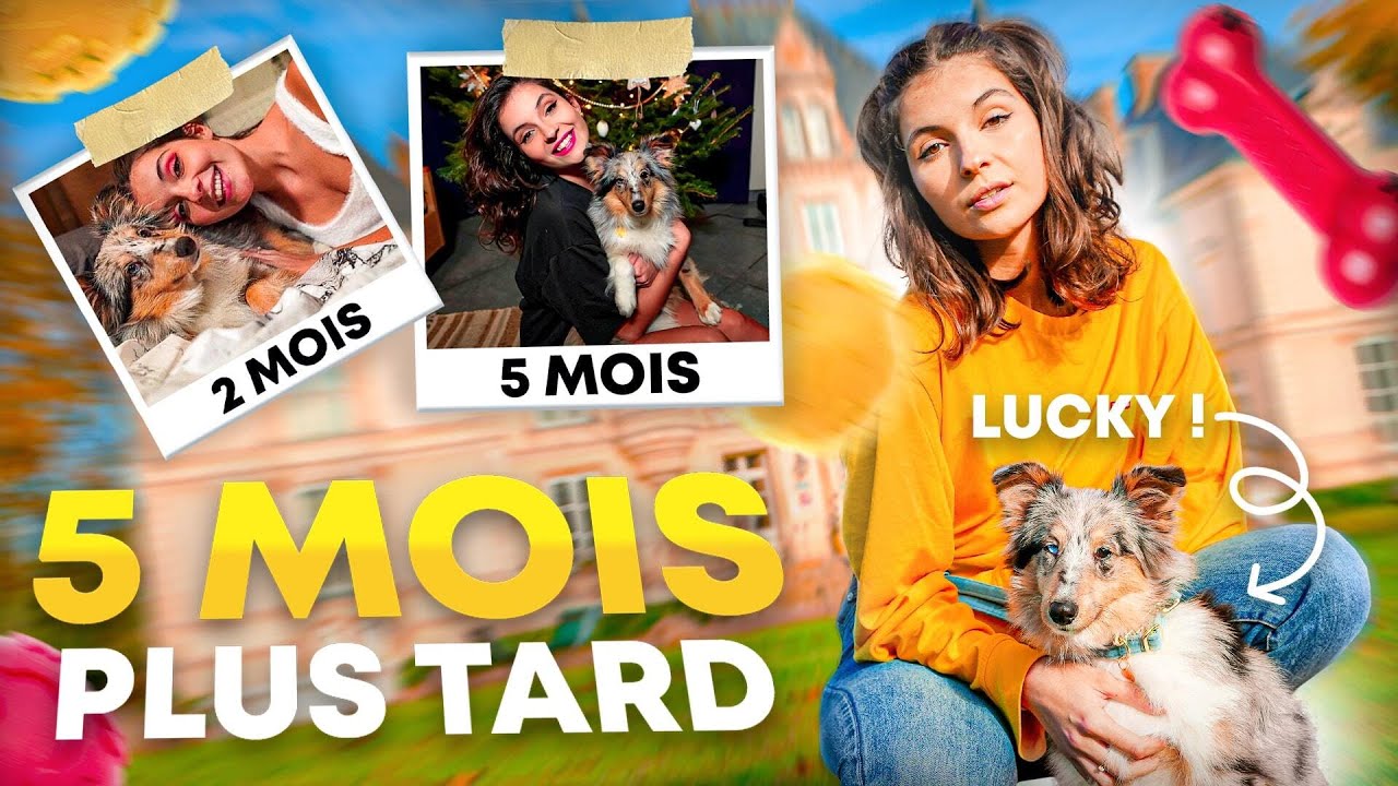 LUCKY 5 mois plus tard !!! #dog
