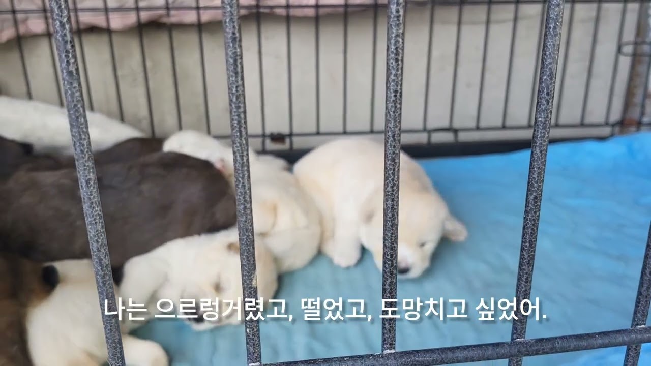 추운 겨울, 여섯 생명을 지켜낸 시간