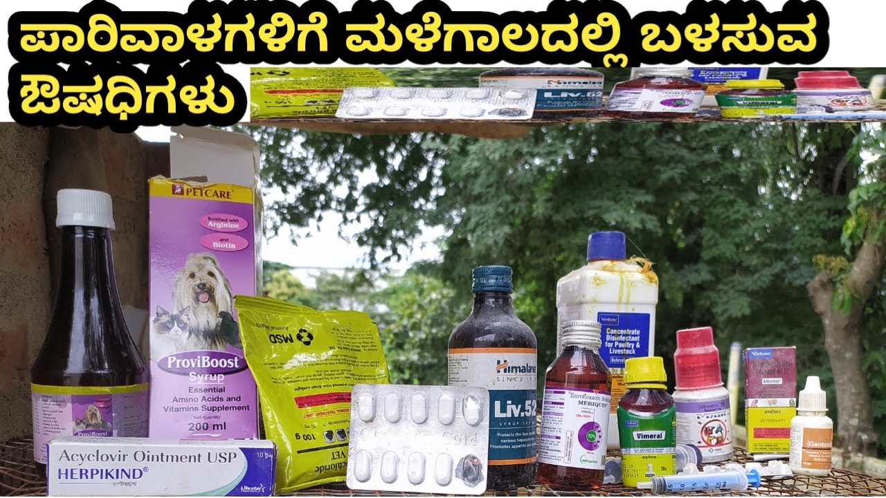 How To Use Medicine For Pigeon In Rain Season | Green Lives | Best Medicine For Pigeon | Kannada