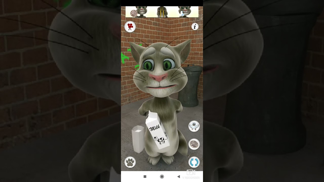 Jogando tanking tom cat