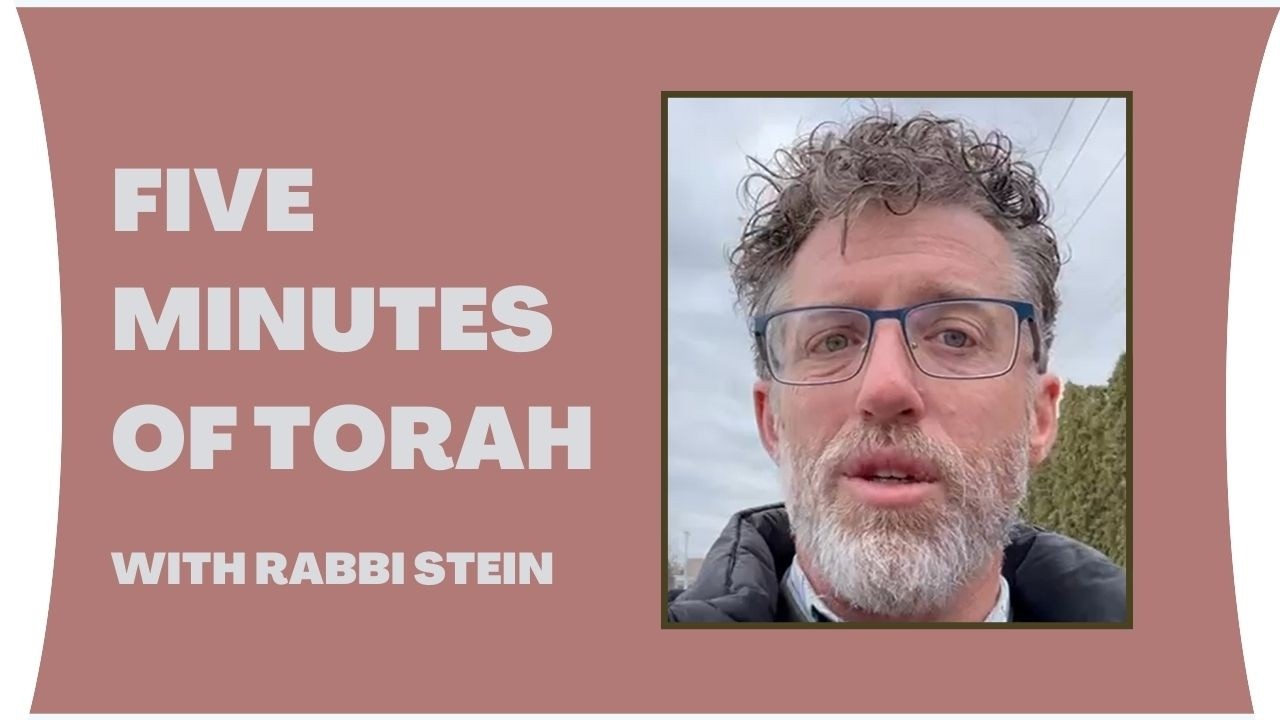 Five Minutes of Torah with Rabbi Stein