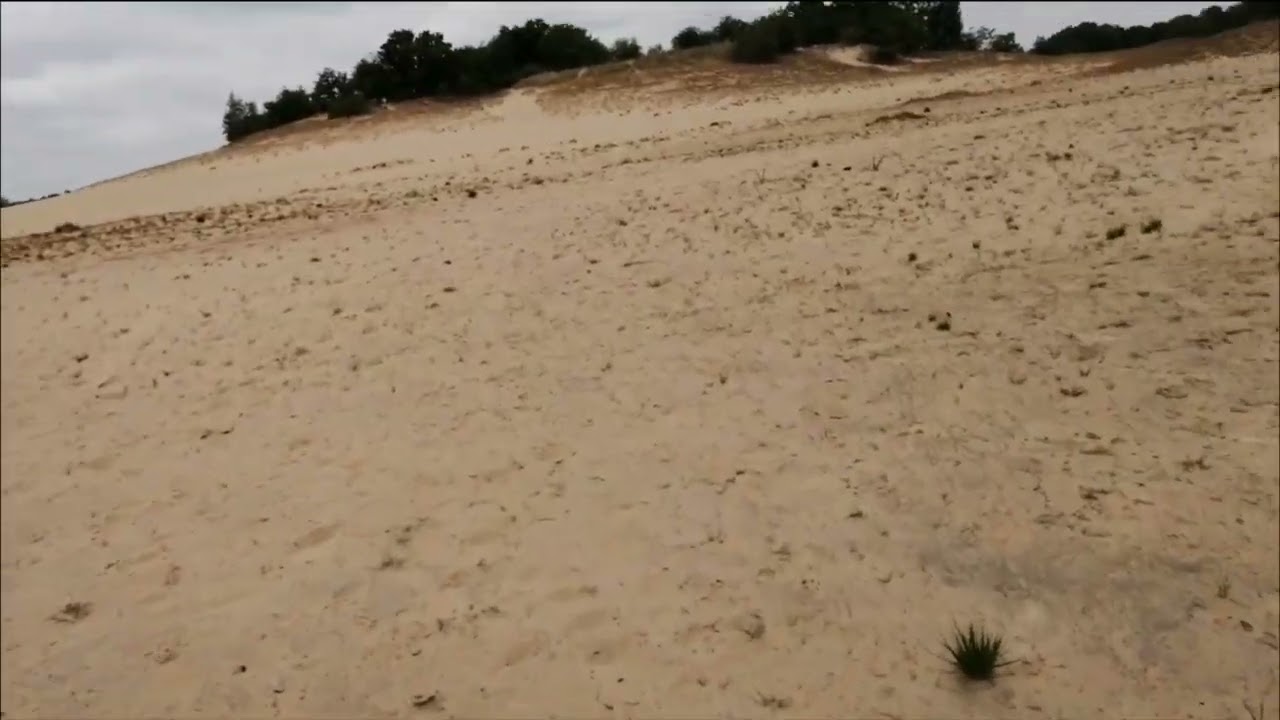Park Narodowy De Loonse en Drunense Duinen, Nederland
