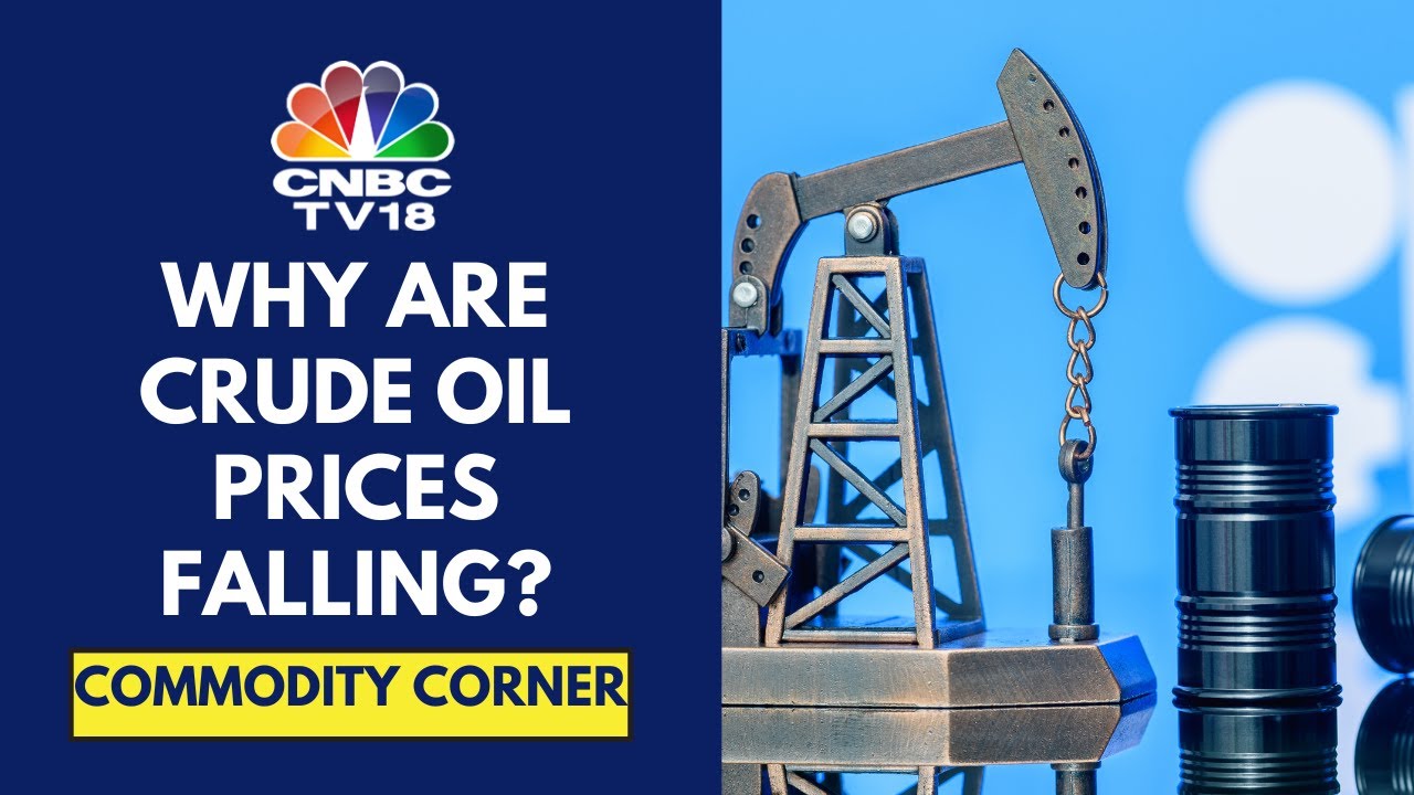 Crude Oil Prices Fall 2.5% Overnight As OPEC Cuts Global Demand Forecast | CNBC TV18