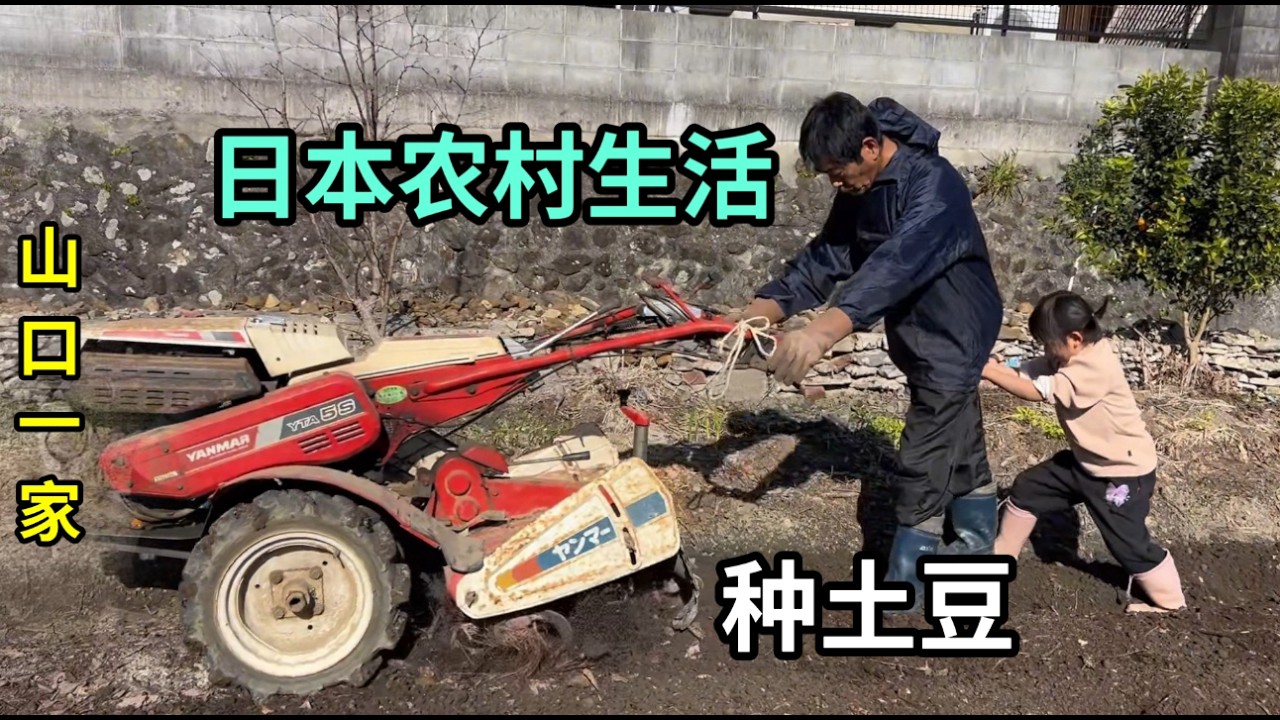 日本老公辭職後專心種地，購買15公斤土豆，準備大面積種植