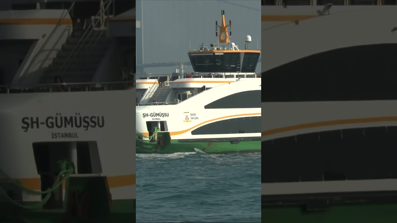Istanbul  Traffic in the Bosphorus  #shorts