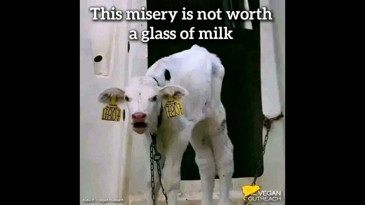 Why