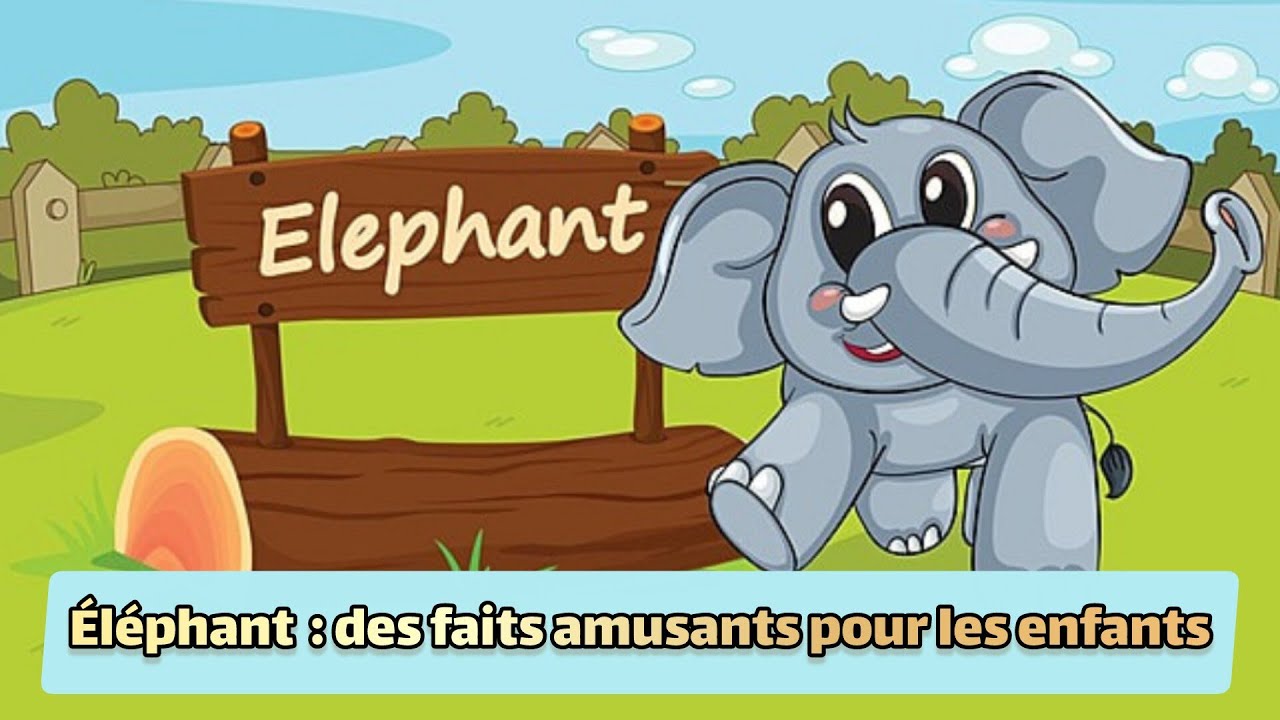 Éléphant : des faits amusants pour les enfants
