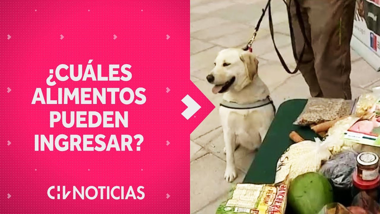 ¿Se puede o no se puede? Lo que debes saber antes de intentar ingresar un alimento a Chile