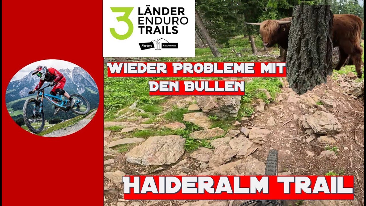 3-Länder Enduro Trails - Der komplette Haideralm Trail | Black Trail - Wiedertreffen mit den Kühen