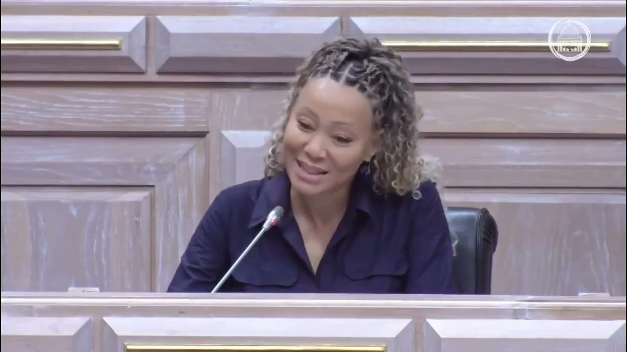 Intervenção da Deputada Irina Diniz Ferreira no debate da Proposta do OGE 2026
