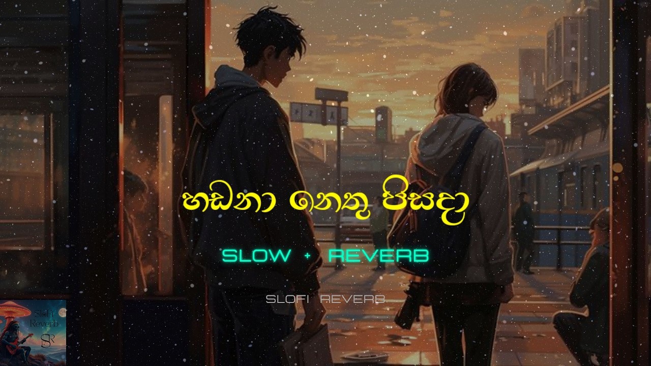 Hadana Nethu Pisada | Slowed + Reverb | හඩනා නෙතු පිසදා | Slofi Reverb