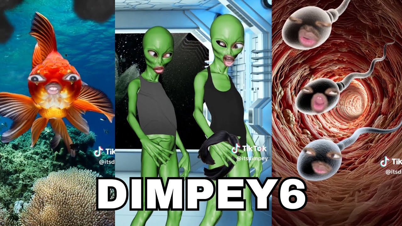Dimpey6 New Best Funny TikTok Videos | Dimpey6 Shorts Videos 2026 - Shorts Comps