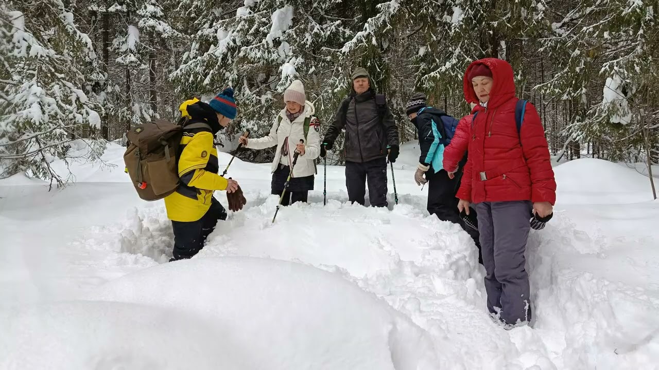 2026-02-28 Пеший поход от Платформы 335 км до Богородского