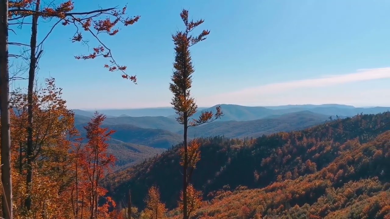 volovsk&eacute; vrchy
