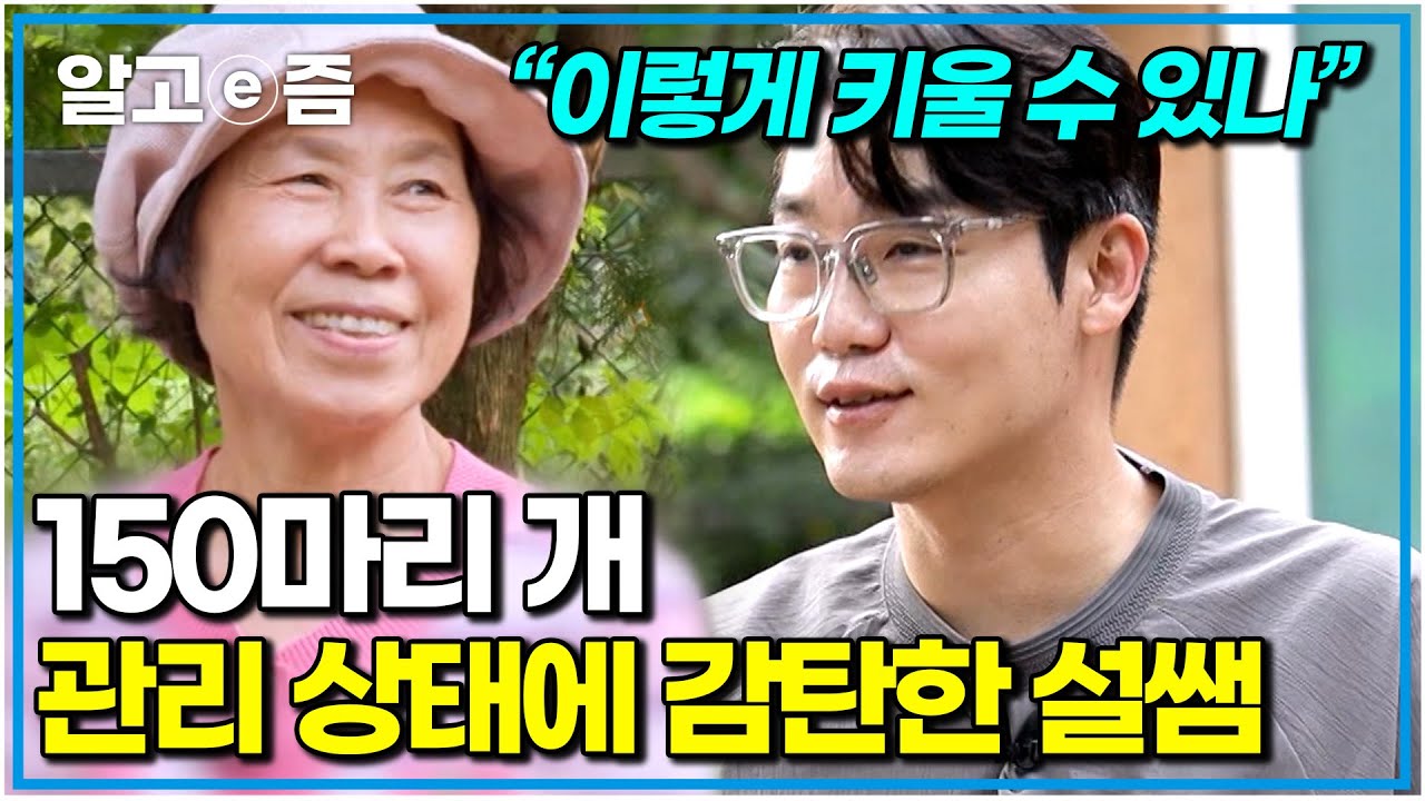 “애들 왜 이렇게 차분하지?” 150마리 개 만나러 간 설쌤. 처음엔 애니멀 호더로 의심했었는데..｜세상에 나쁜 개는 없다｜알고e즘